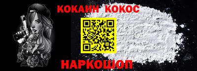 индика Камышлов