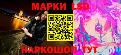 индика Камышлов