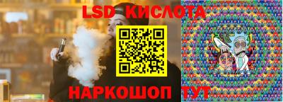 индика Камышлов