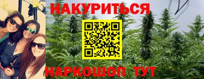 индика Камышлов