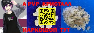 индика Камышлов