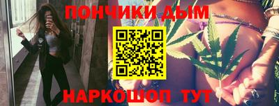 индика Камышлов